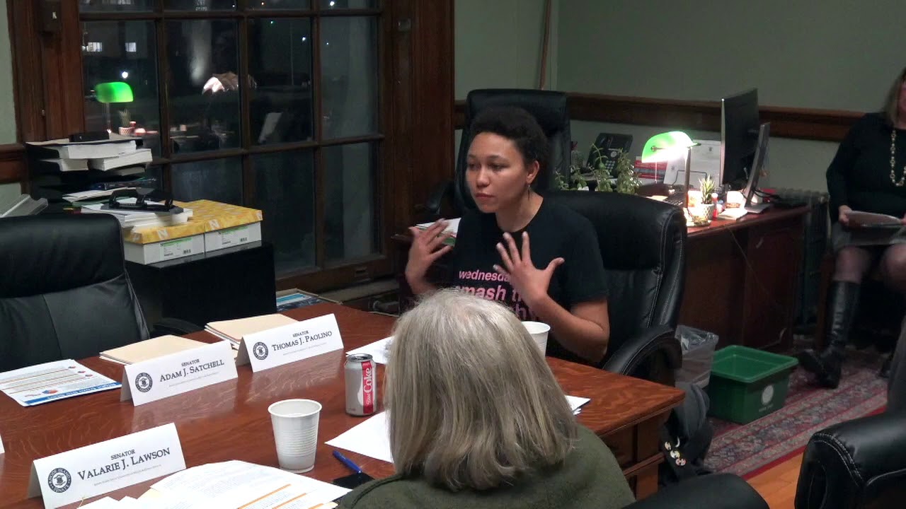2020-02-04 Doula Bill Senate 10