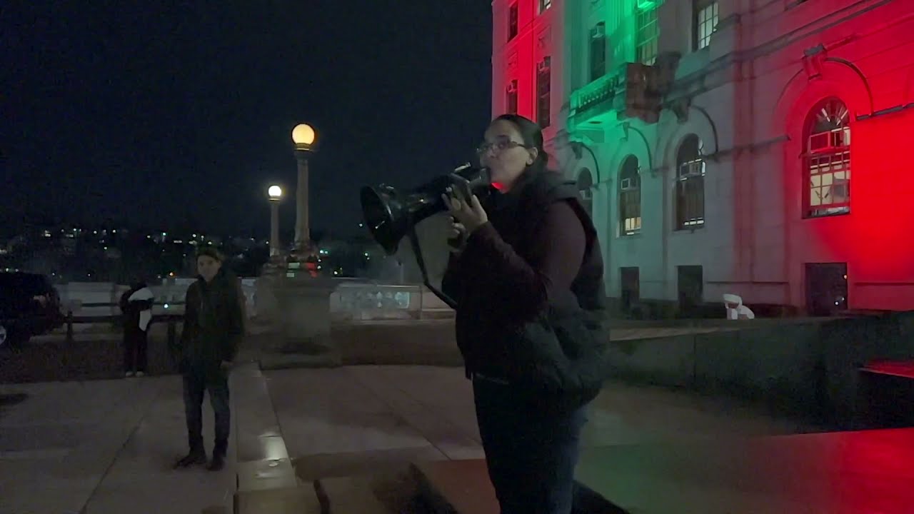 Christmas Tree Lighting 01  - Senator Cynthia Mendes Protest