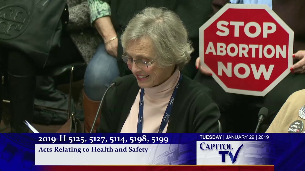 2019-01-30 House Judiciary 34