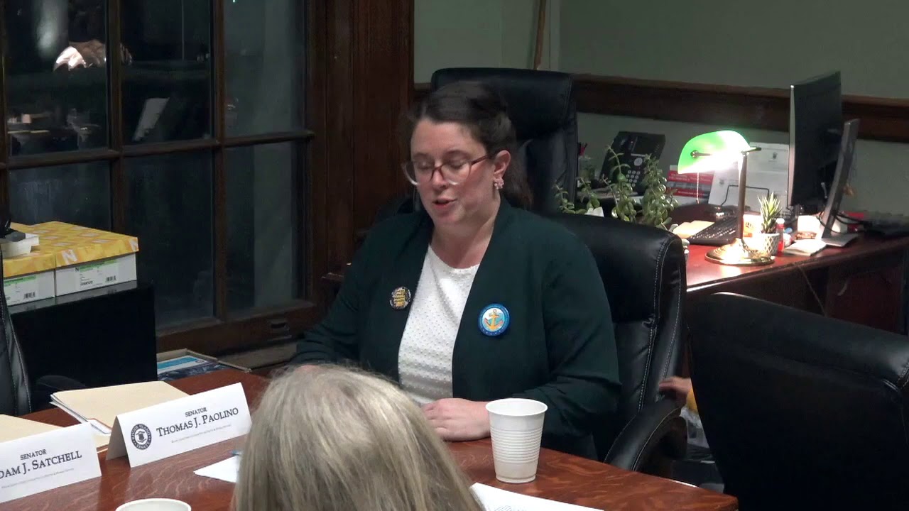 2020-02-04 Doula Bill Senate 17