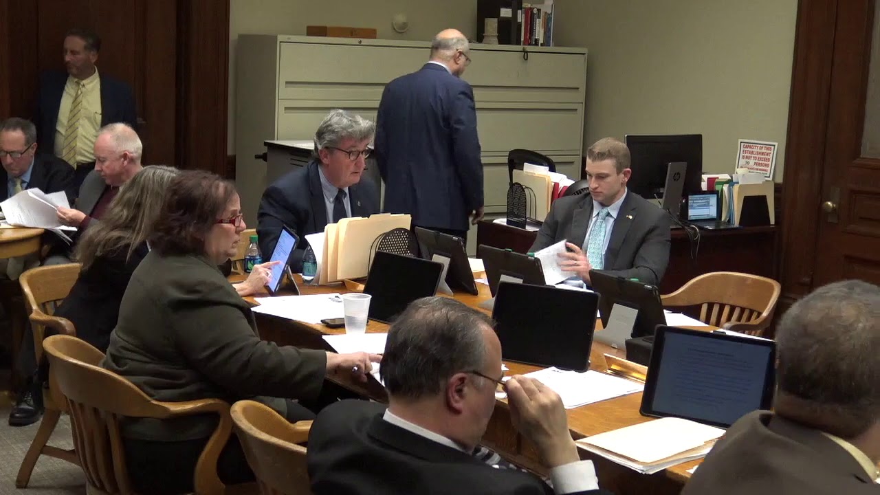 2019-01-23 House Judiciary 09