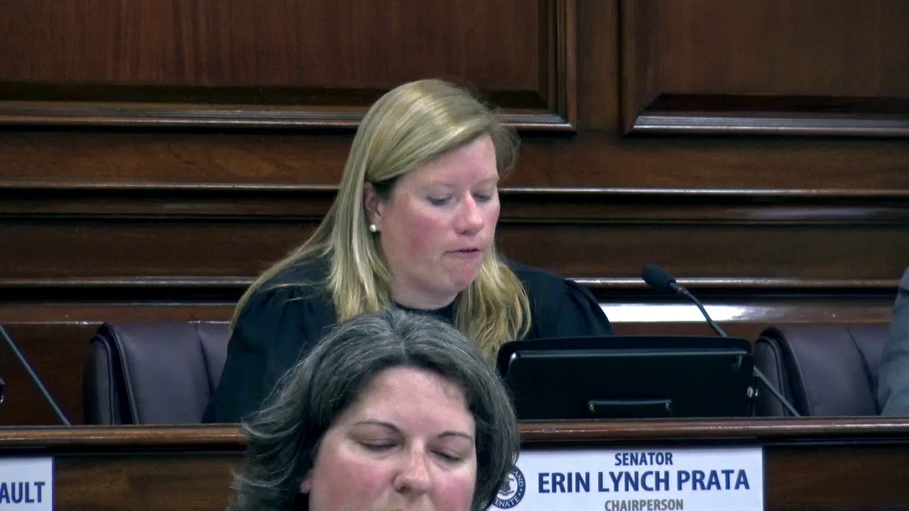 2019-06-11 RPA 01 Senate Judiciary