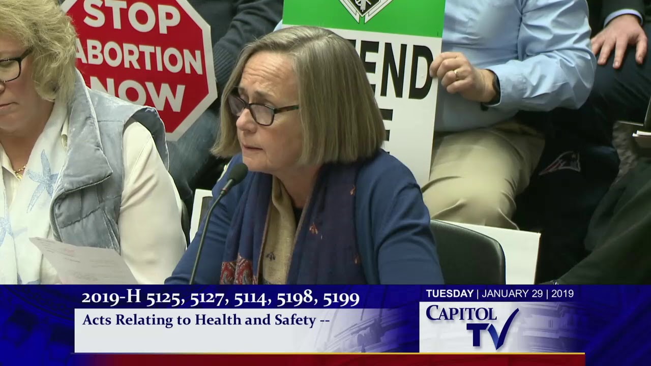 2019-01-30 House Judiciary 15