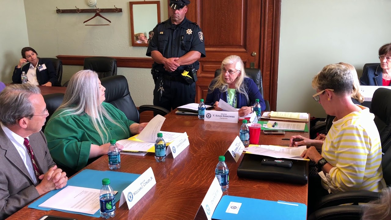 2018-06-06 Senate Enviro & Agri 11