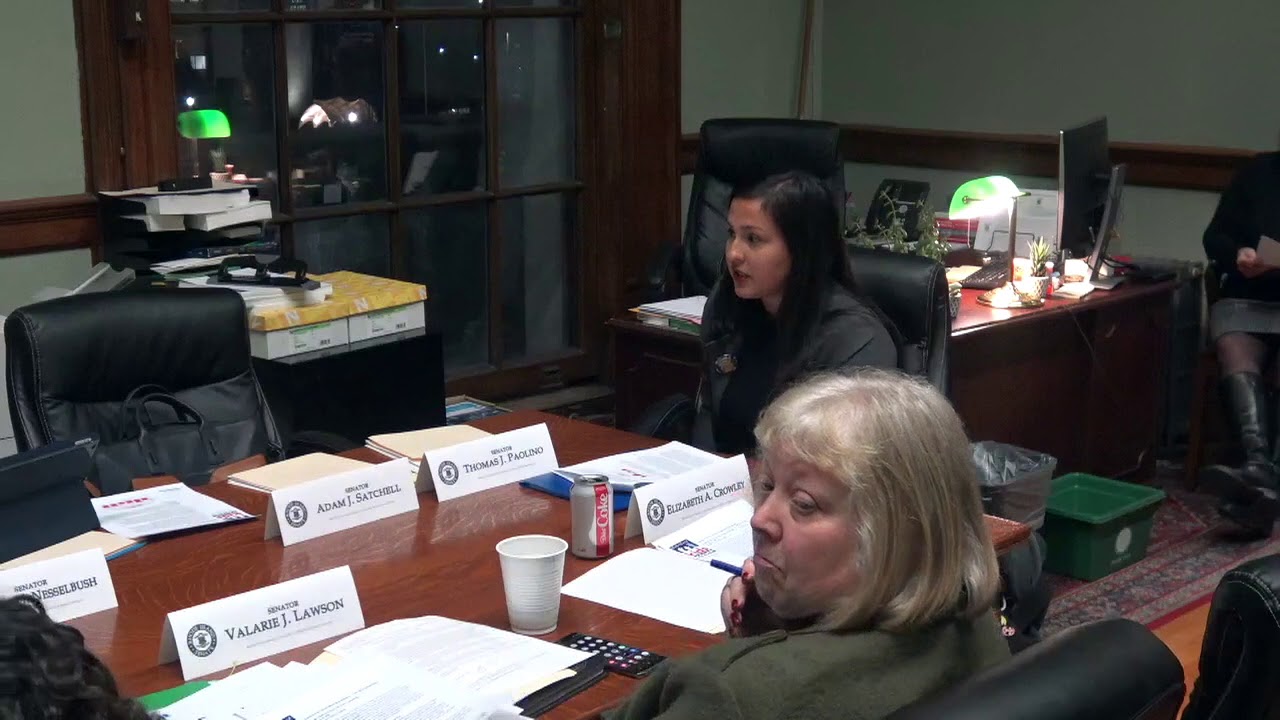 2020-02-04 Doula Bill Senate 09