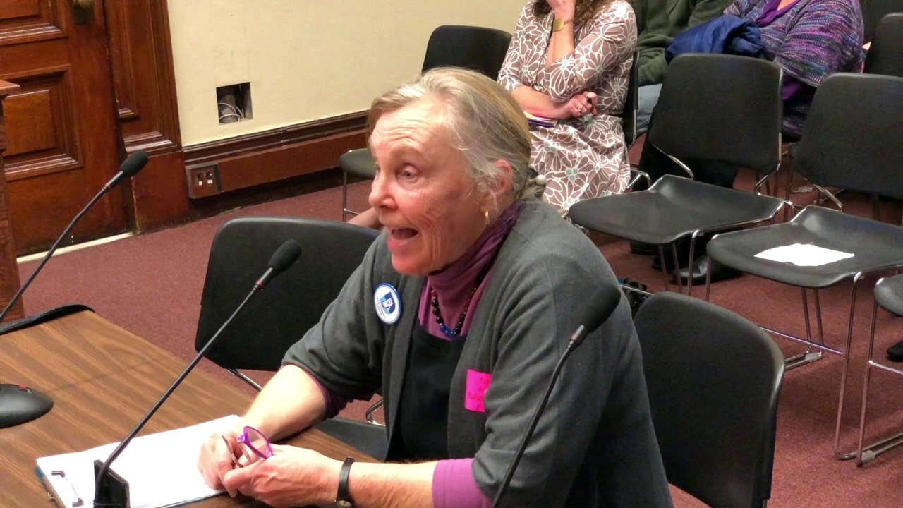 2019-01-08 House Committee on Rules 36