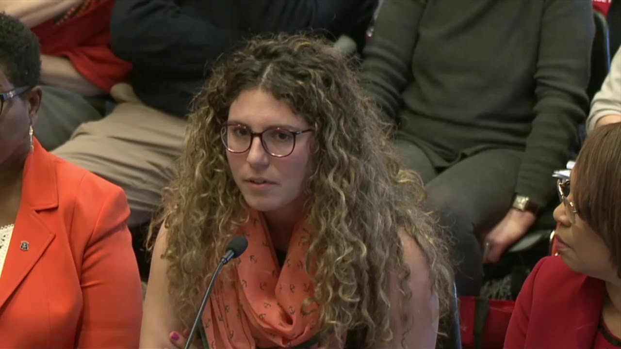 2019-03-19 House Judiciary -Guns - Filippi & Kazarian