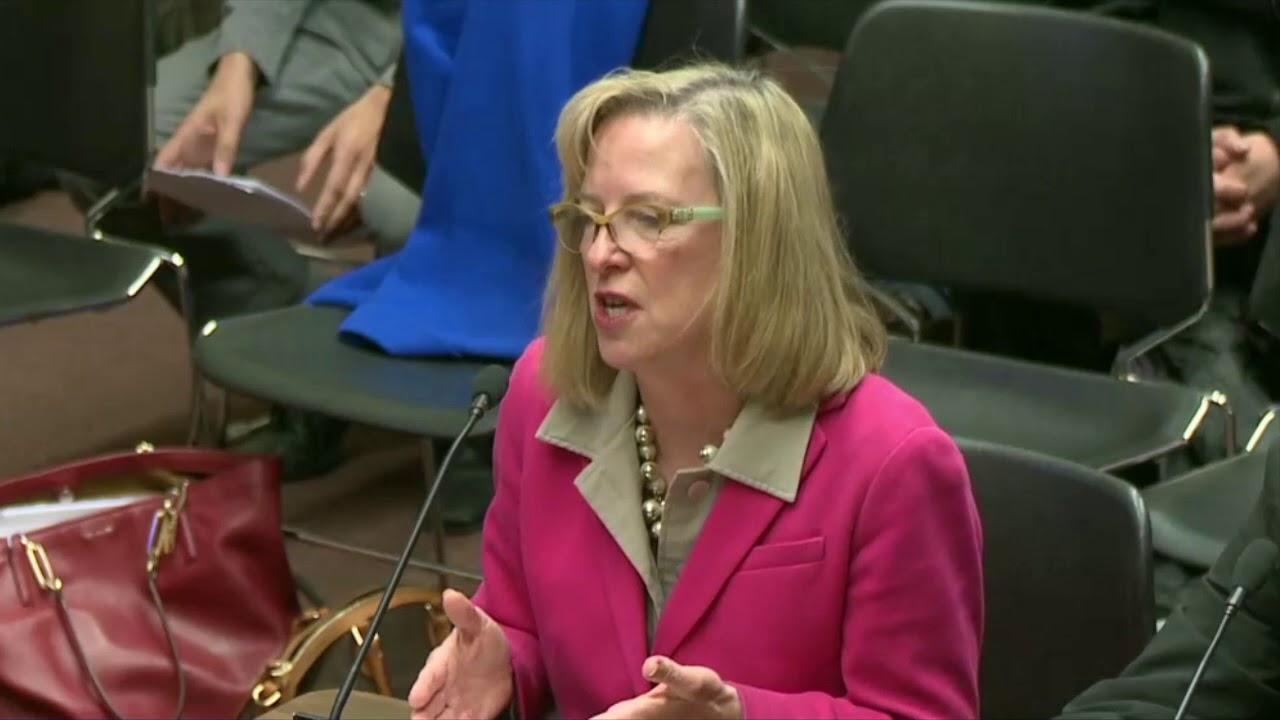 2018-04-03 House Judiciary - DACA 02