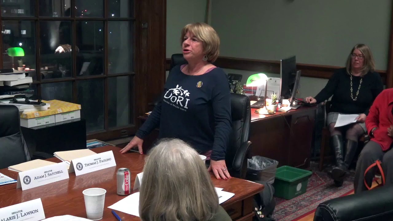 2020-02-04 Doula Bill Senate 12