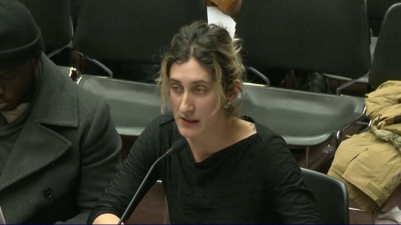 2019-03-05 Juvenile Parole H5333 02