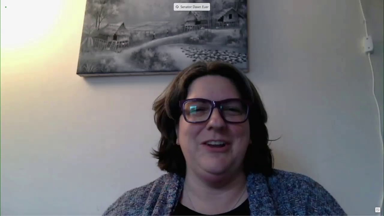 RI Senate Judiciary Committee Discusses Marriages and Appointments