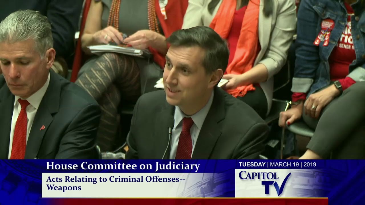 2019-03-19 House Judiciary - Guns 20