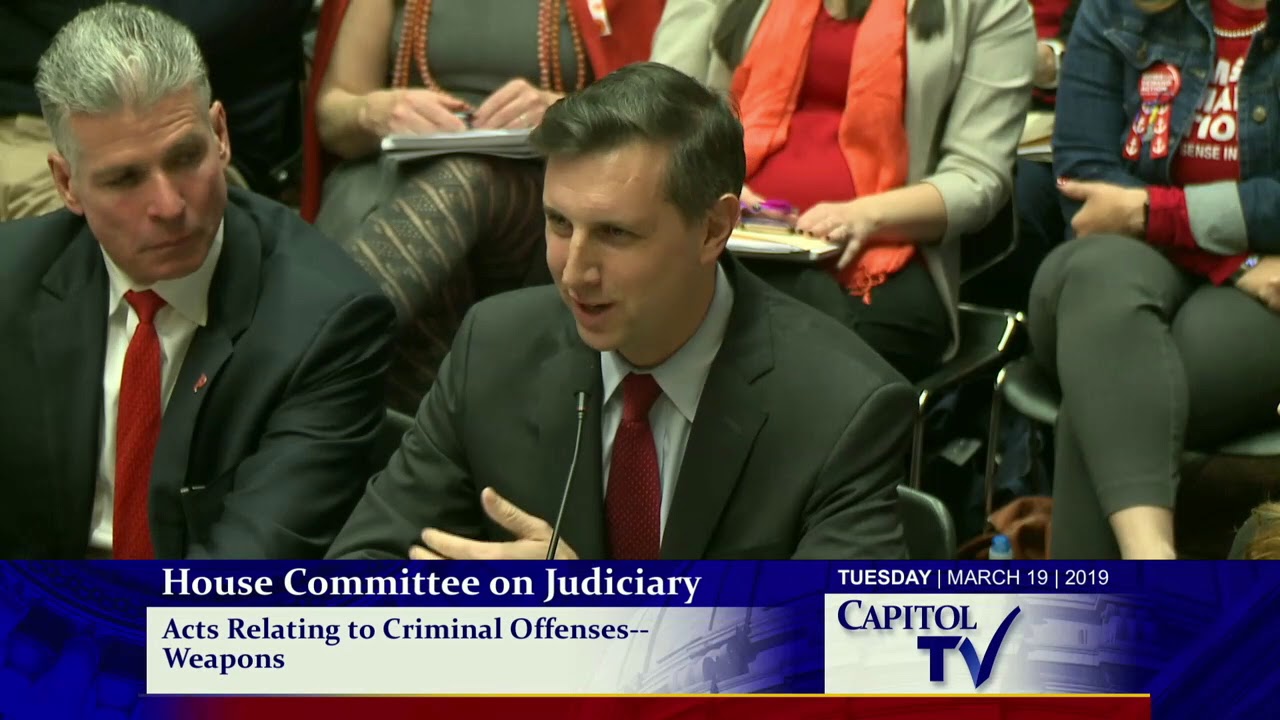 2019-03-19 House Judiciary - Guns 17