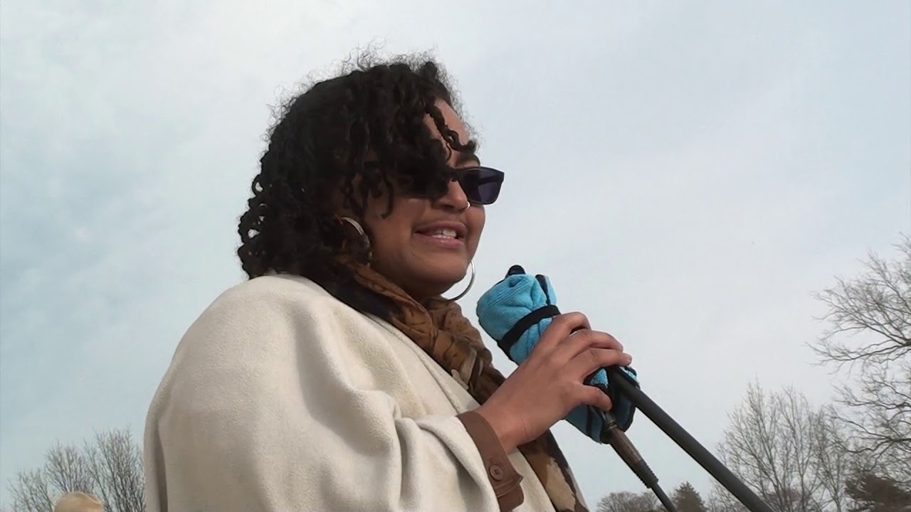 2018-01-2 Women's March 2018 17