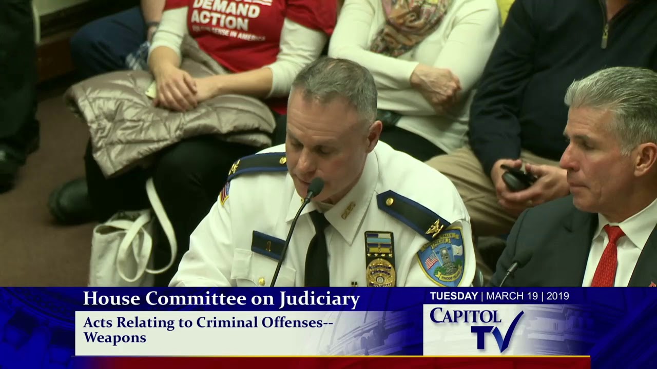 2019-03-19 House Judiciary - Guns 21