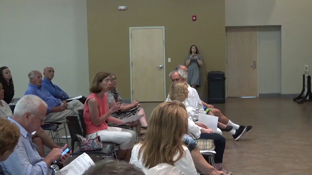 2019-07-24 Common Cause 05 Redistricting