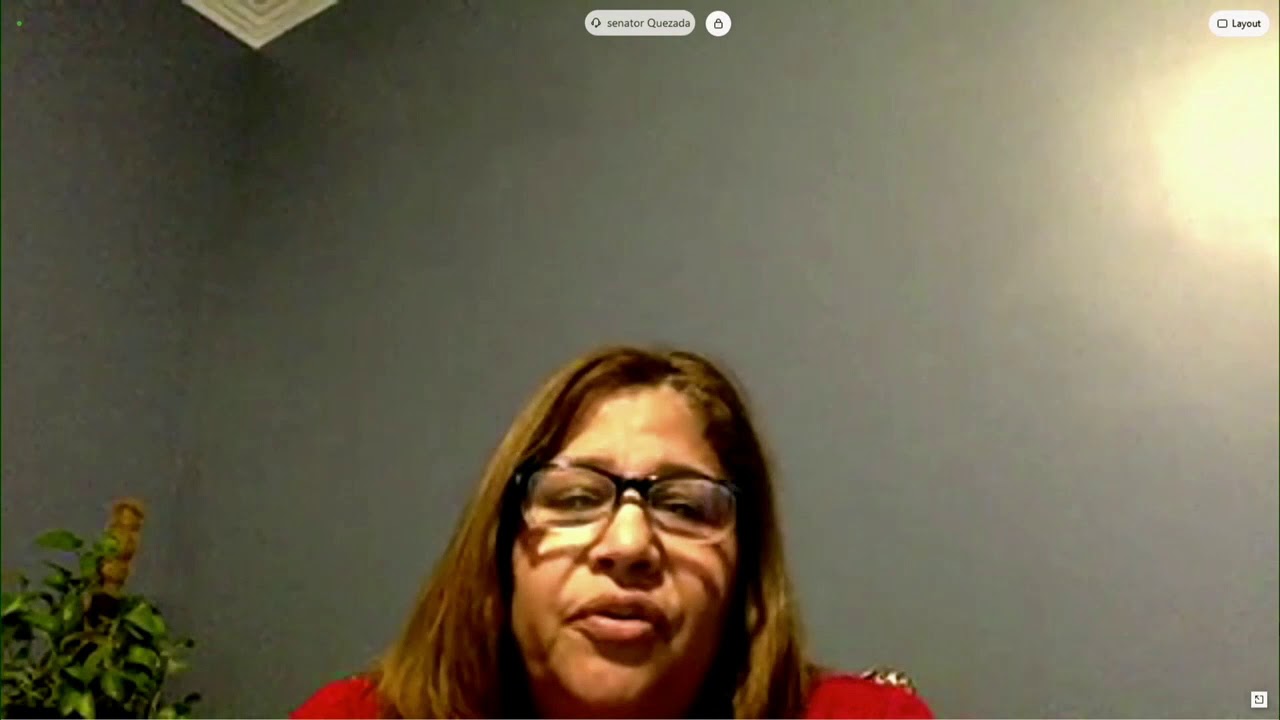 2021 02 25 Senate Judiciary 02   HD 720p