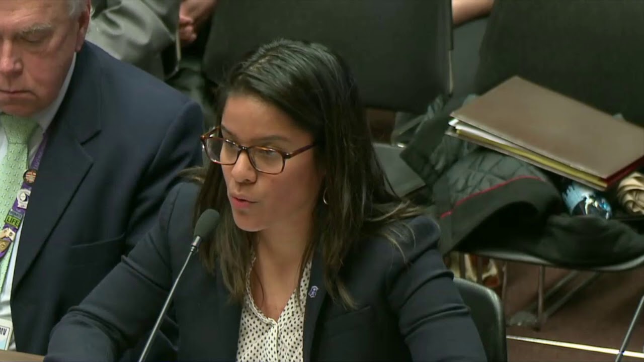 2018-04-03 House Judiciary - DACA 01