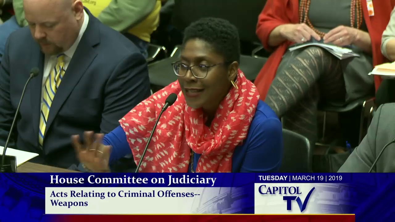 2019-03-19 House Judiciary - Guns 25