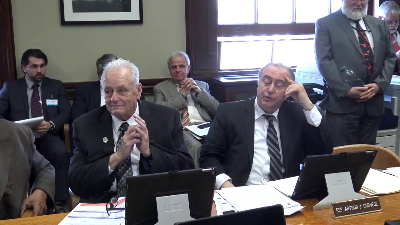 2019-03-20 Uniform Parenting Act 02