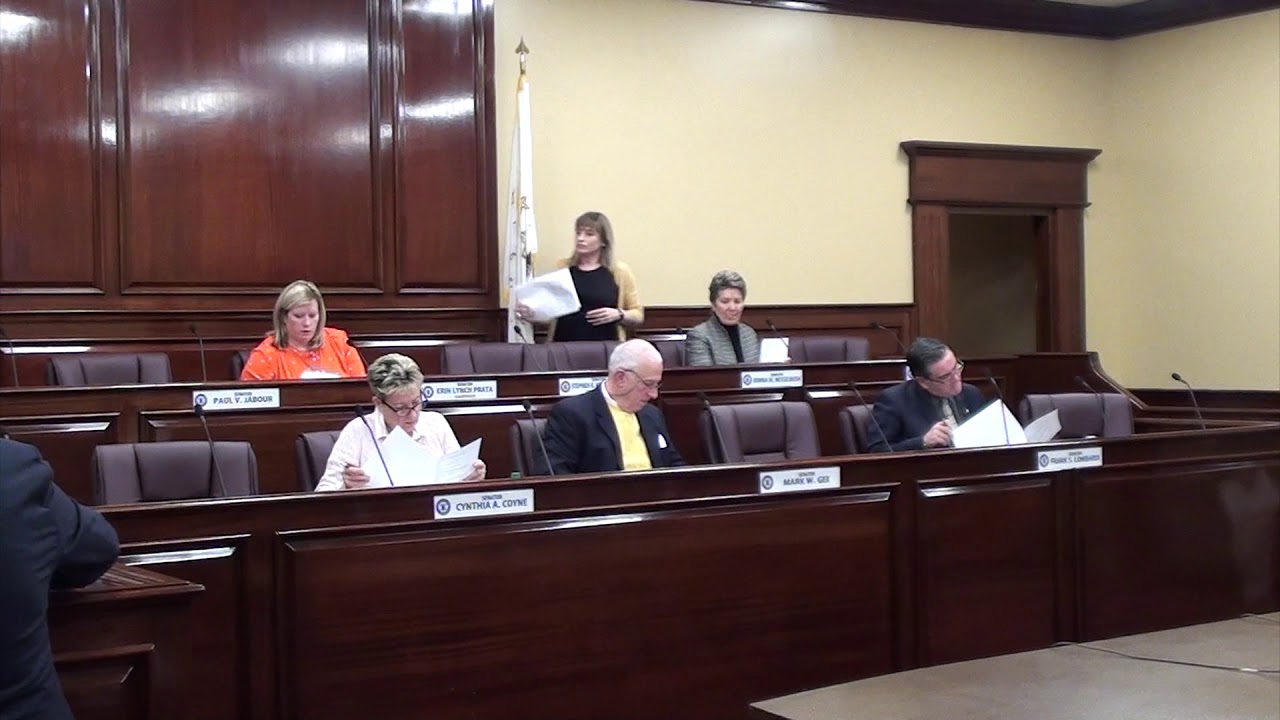 2018-02-01 Senate Judiciary marriage equality