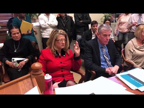 2018-03-22 Senate Commerce -Natural Hair Braiding 14