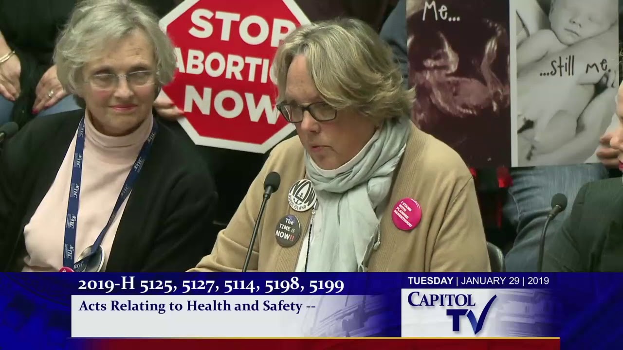 2019-01-30 House Judiciary 33