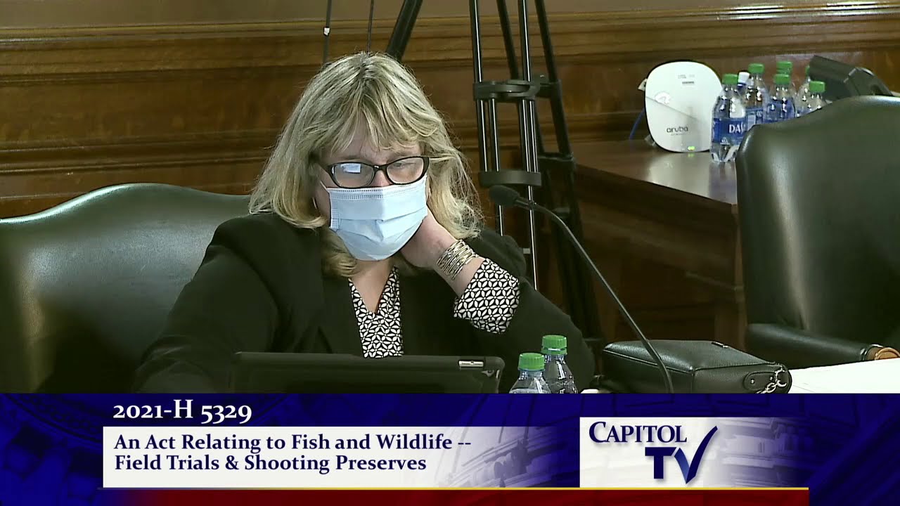 2021 02 11 House Enviro 5329   HD 720p