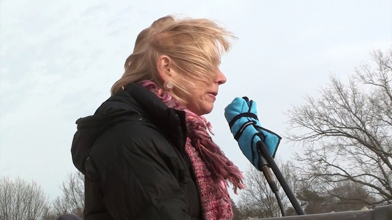 2018-01-2 Women's March 2018 15