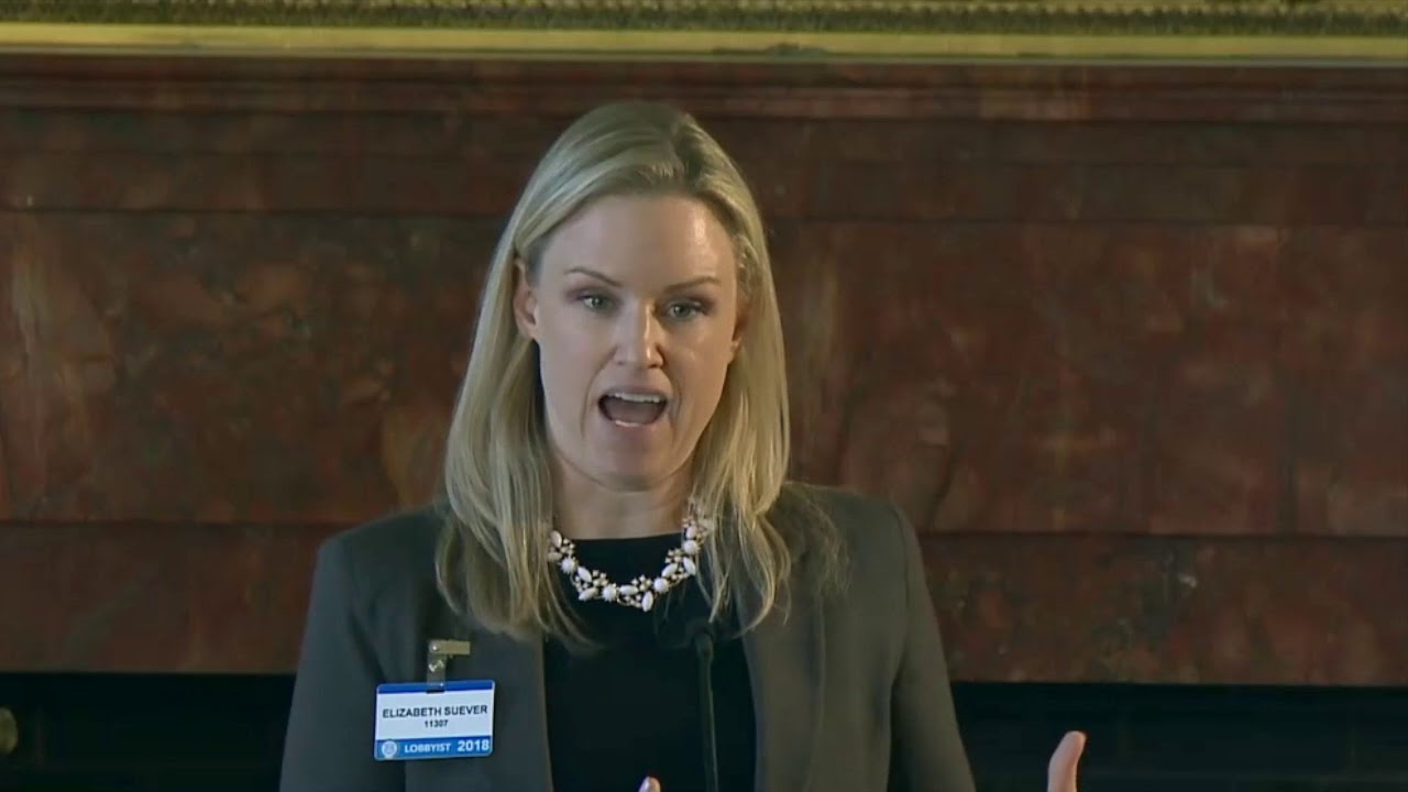 2018-03-28 Senate Labor 03