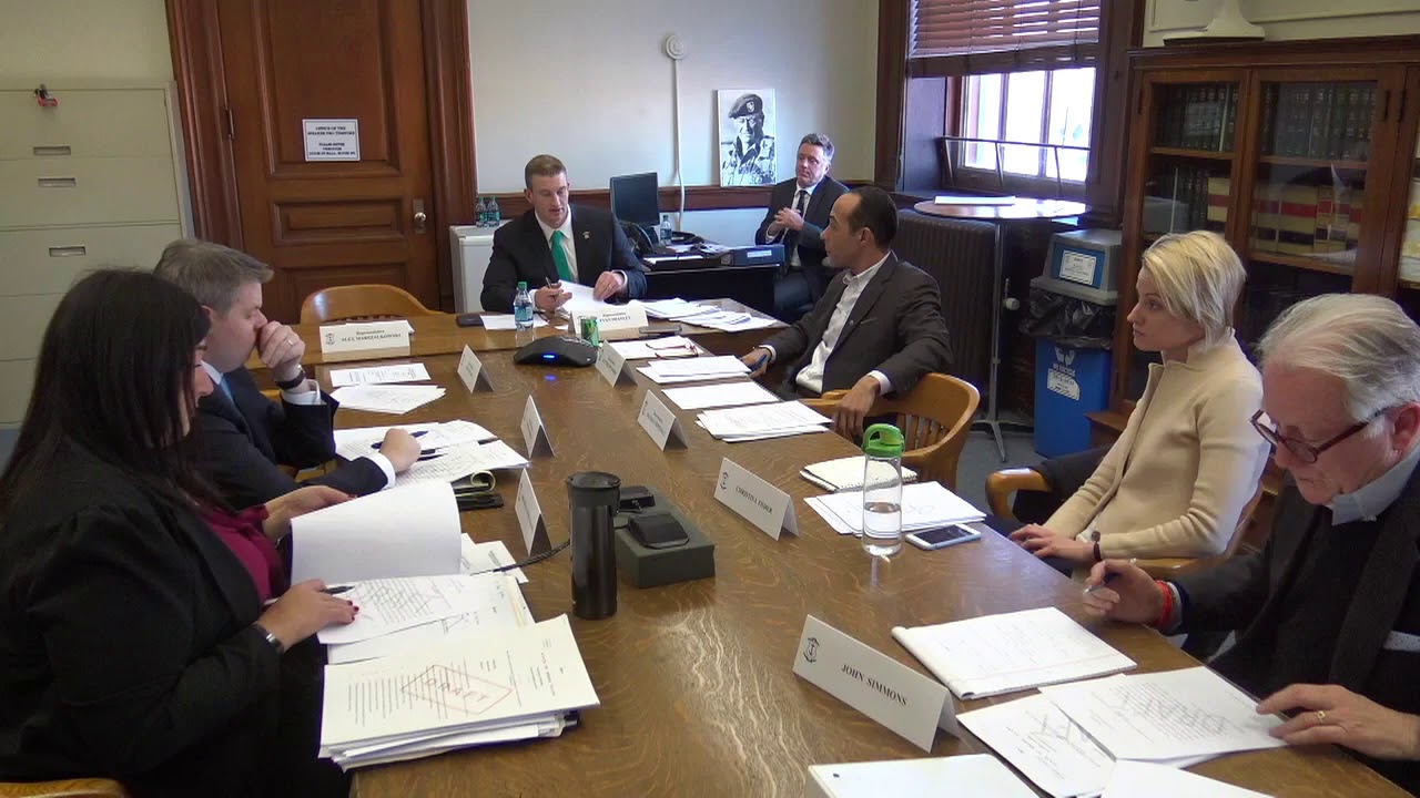 2019-01-22 House Commission Privacy