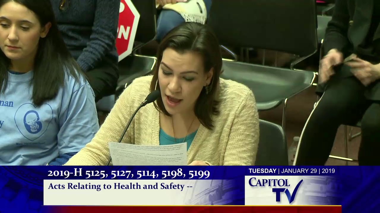 2019 01 30 House Judiciary 131