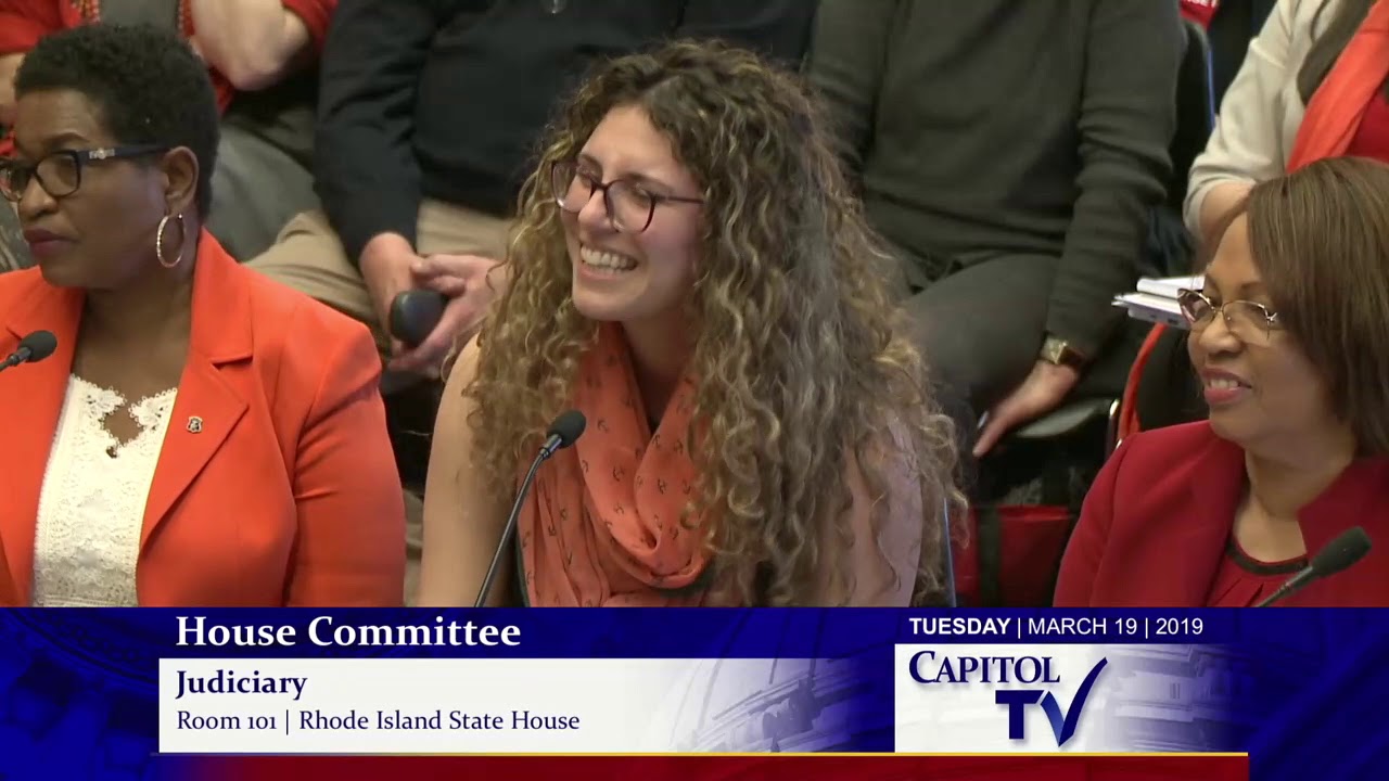 2019-03-19 House Judiciary - Guns 05