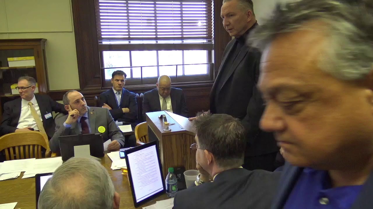 2010-03-19 Hair Braiding 03