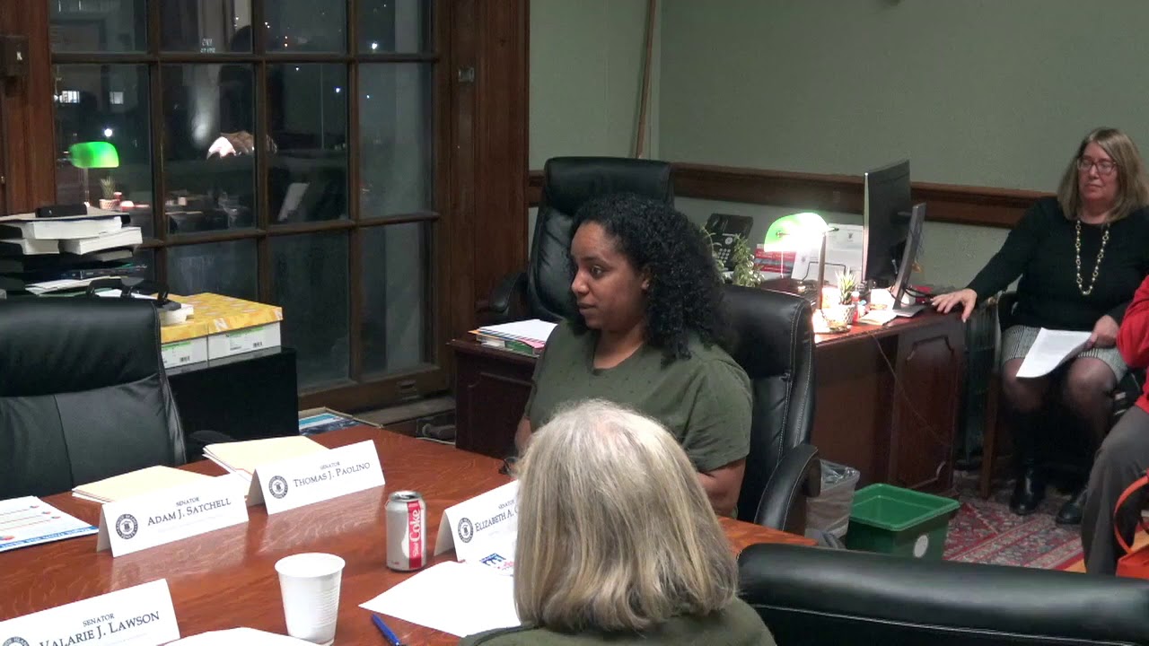 2020-02-04 Doula Bill Senate 14