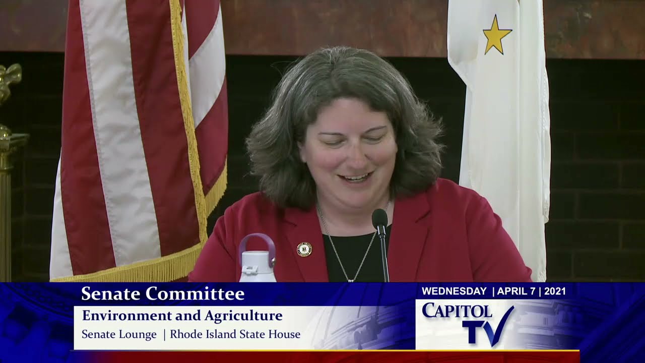 2021 04 07 Senate Environment