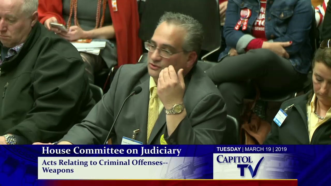 2019-03-19 House Judiciary - Guns 26