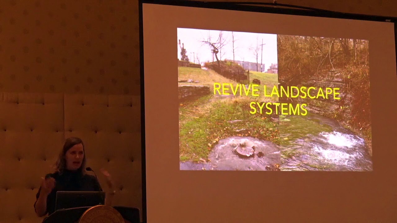 2018-07-21 Sheldon Whitehouse 06