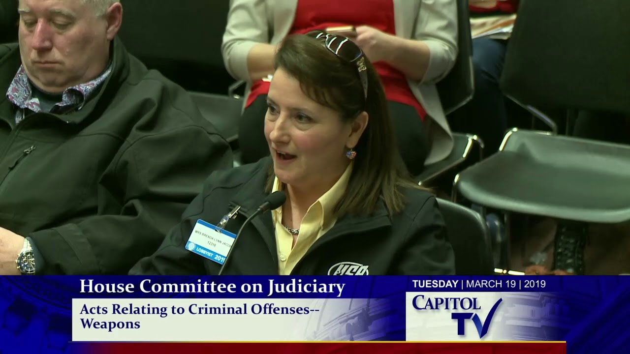 2019-03-19 House Judiciary - Guns 29