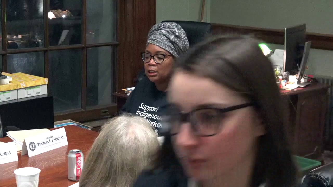 2020-02-04 Doula Bill Senate 19