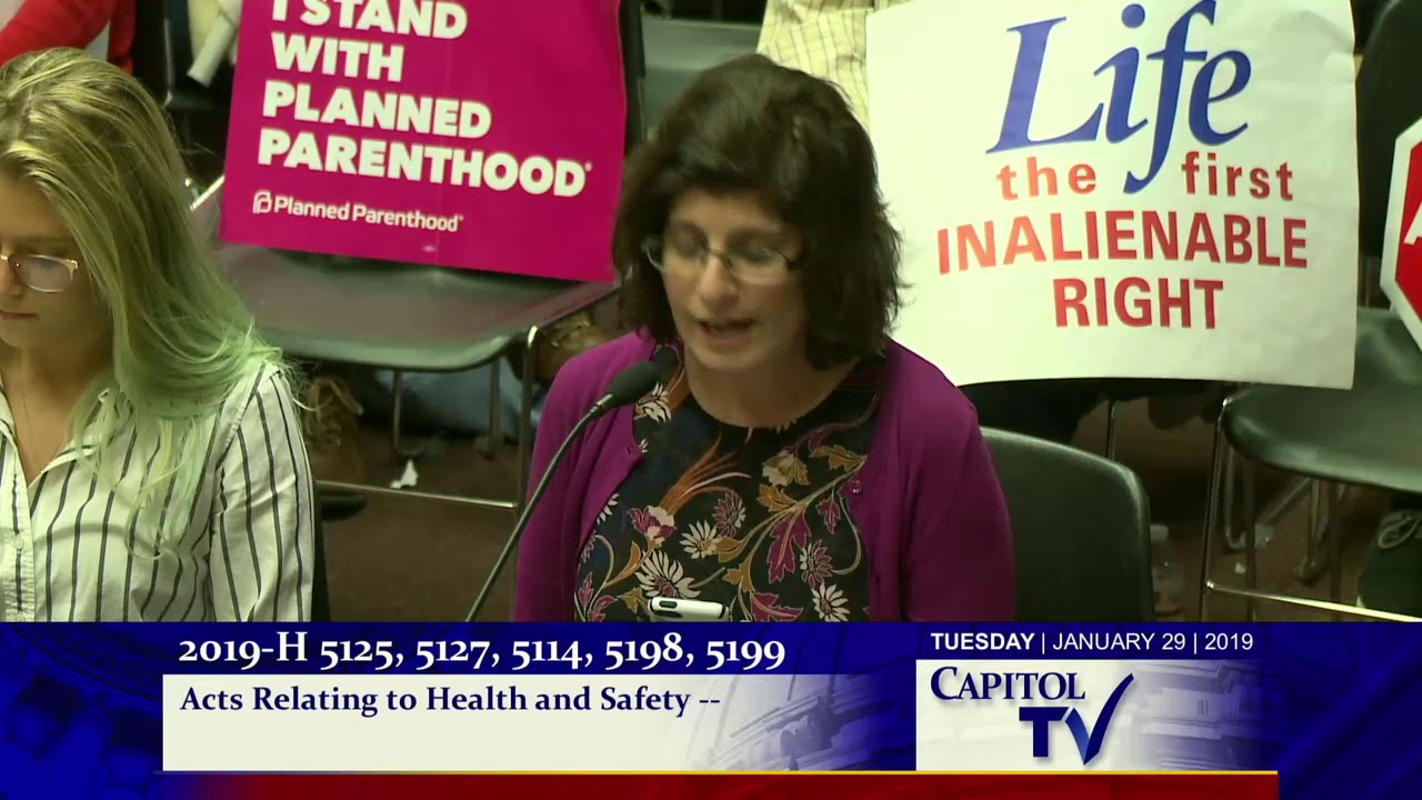 2019 01 30 House Judiciary 108