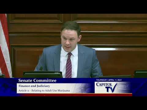 2021 04 01 Senate Finance and Judiciary 02   SD 480p