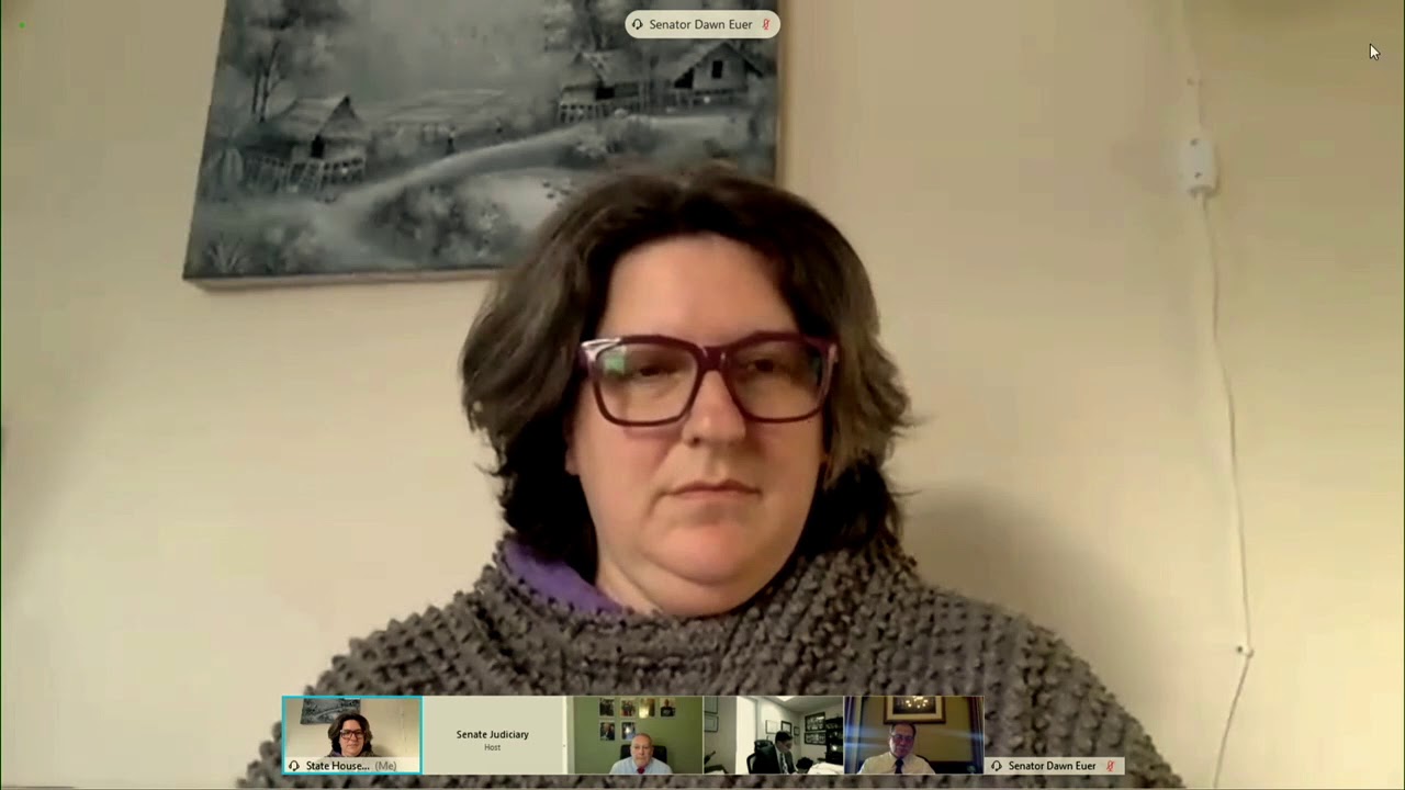 2021 02 11 Senate Judiciary Scheduled for Advice and Consent   HD 720p