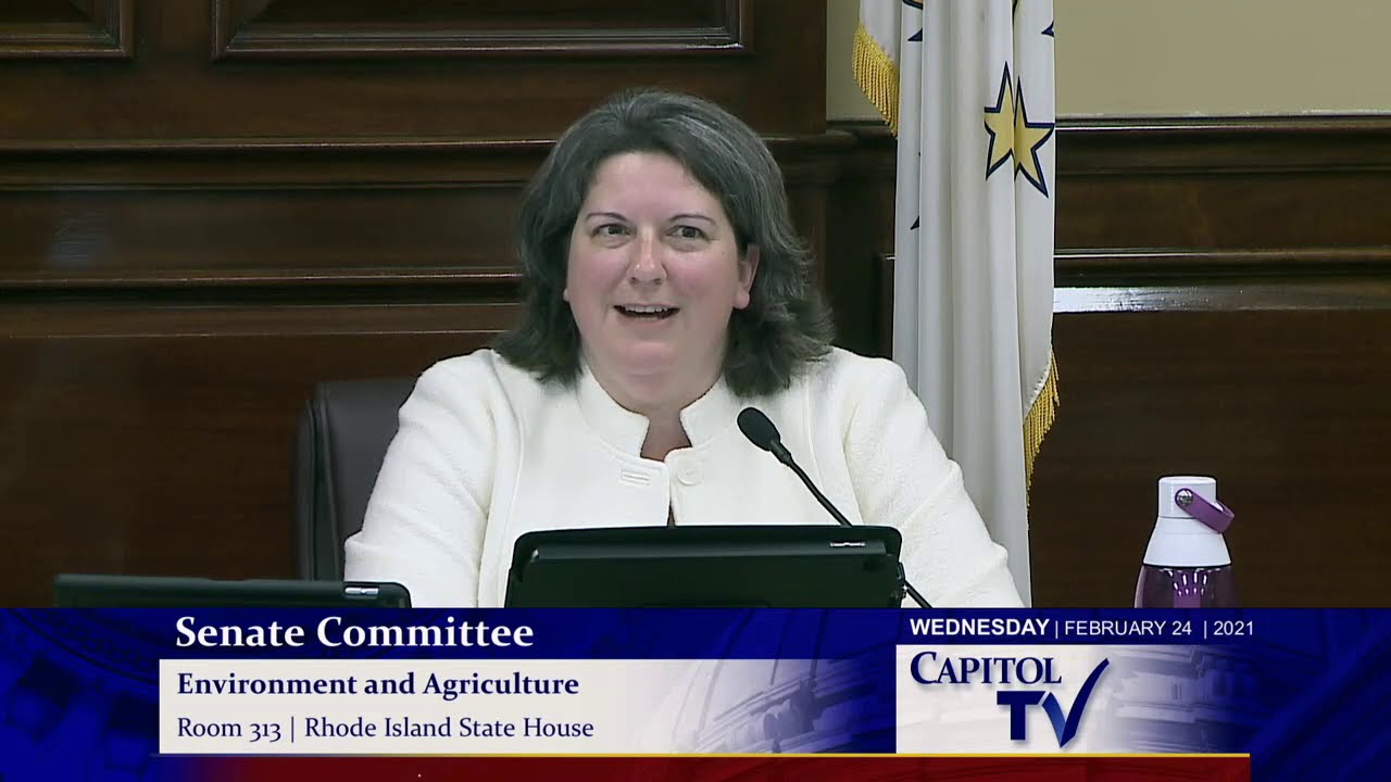 2021 02 24 Senate Enviro 07   HD 720p