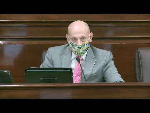2021 03 22 Senate Committee on Rules, Government Ethics and Oversight