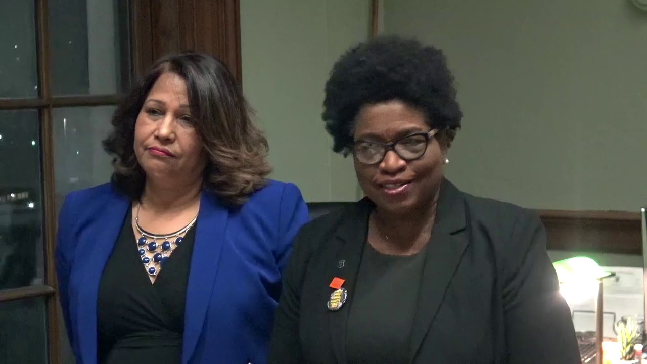 2020-02-04 Doula Bill Senate 02