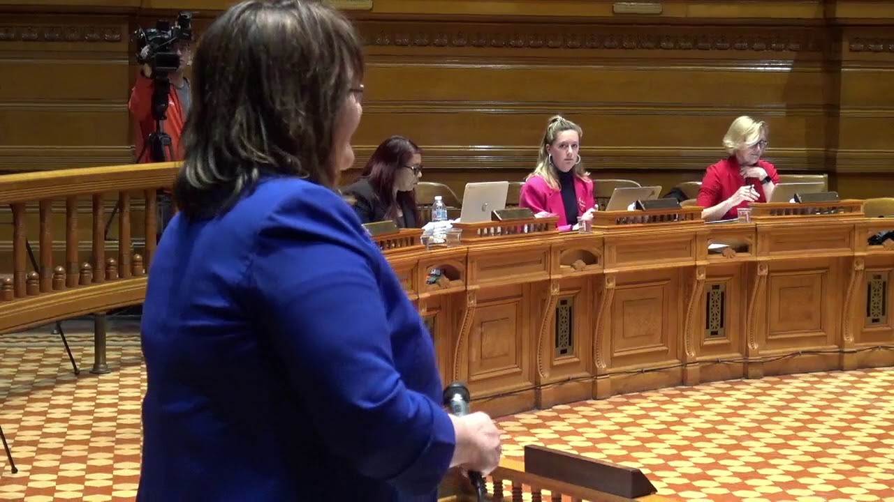 2019-04-22 PVD City Council - Plastic Bag Ban