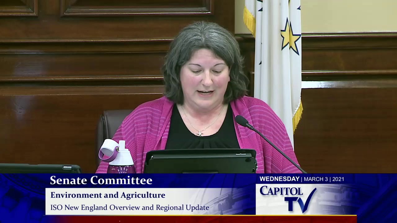 RI Senate Environment Committee Discusses 2021 Act on Climate and Hears an Update from National Grid