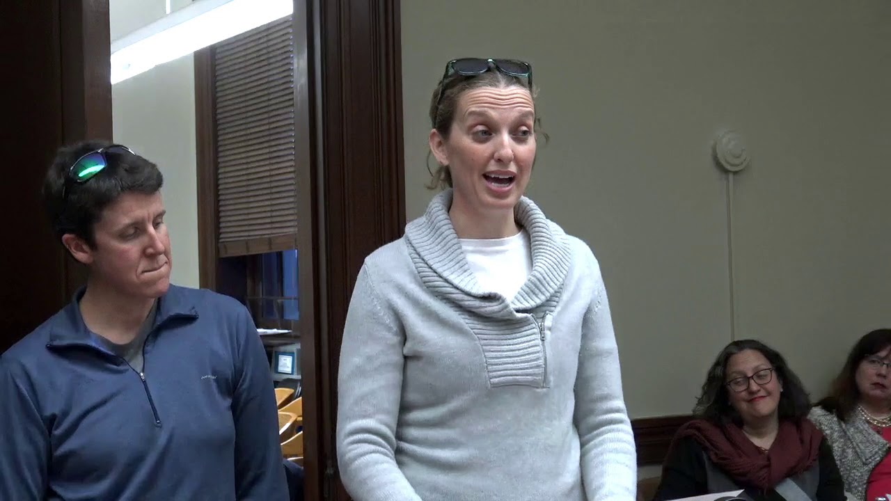 2019-03-20 Uniform Parenting Act 11