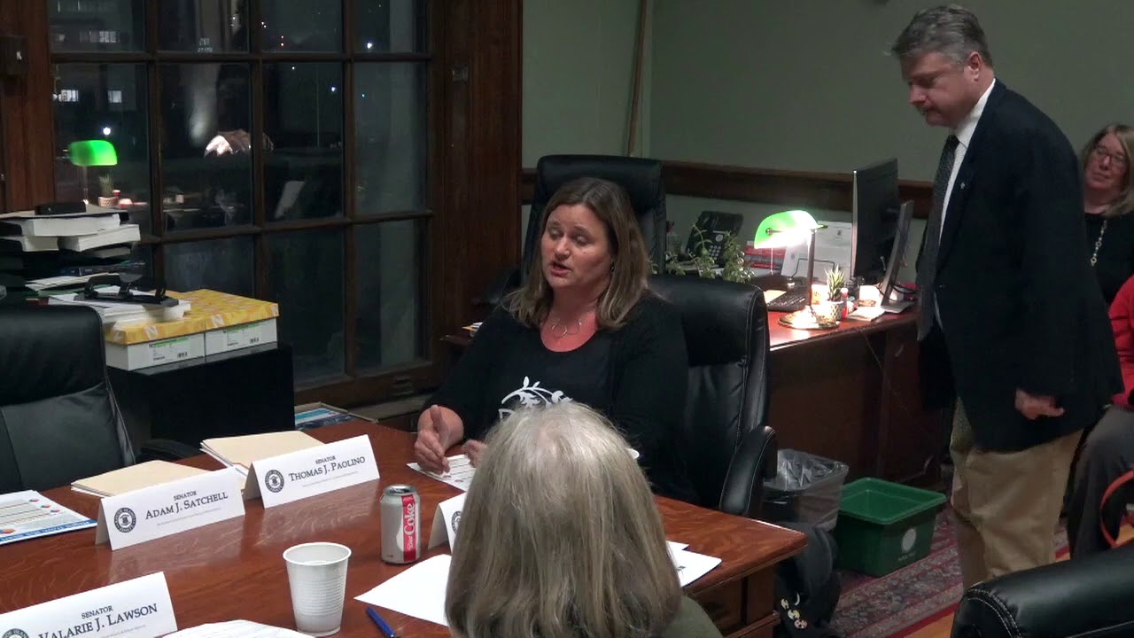 2020-02-04 Doula Bill Senate 13